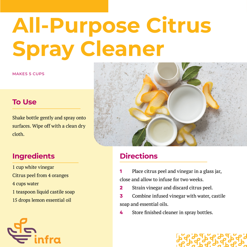 Cleaning Up Our Toxic World: Household Cleaners! - Terry's Health Products